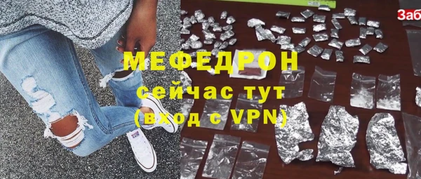 индика Новозыбков