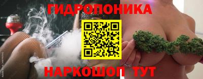 гидра Можга