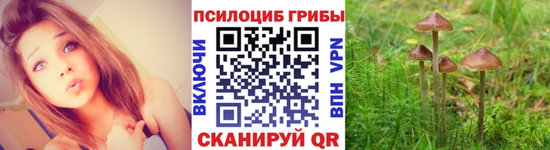 Галлюциногенные грибы MAGIC MUSHROOMS  где найти   Солнечногорск 