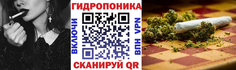 Шишки марихуана семена  Солнечногорск 